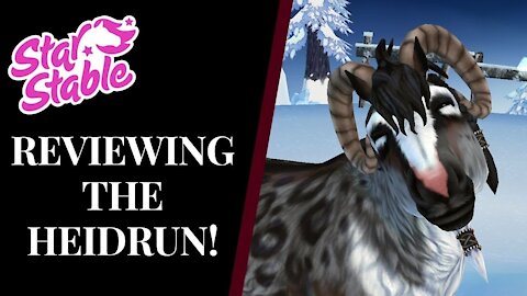 Reviewing The: HEIDRUN! Star Stable Quinn Ponylord