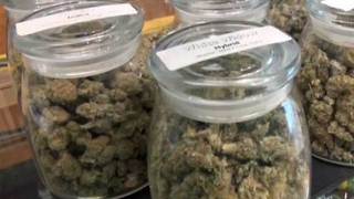 Wellington could be next PBC municipality to allow medical marijuana dispensaries