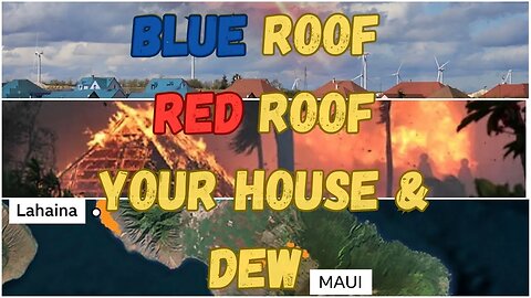 Blue Roof, Red Roof, Your House & DEW