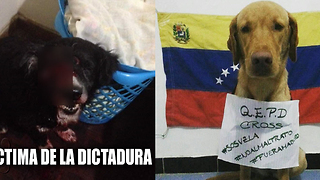 CROSS: una víctima más de la dictadura en Venezuela