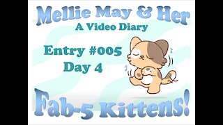 Video Diary Entry 005 - The Cuteness Continues on Day 4