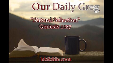 032 "Natural Selection" (Genesis 1:27) Our Daily Greg