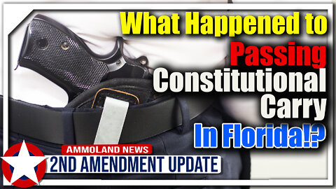 What Happened to Passing Constitutional Carry in Florida?