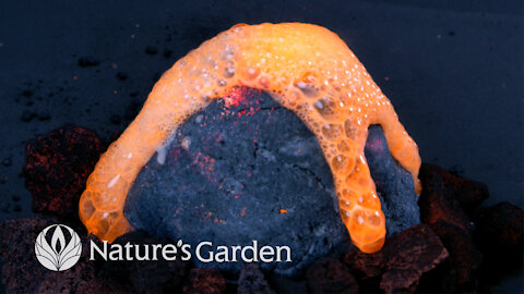 Whip Up a Volcano Bubble Bomb With Natures Garden