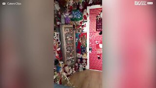Mann dekorere huset med over 300 julenisser!
