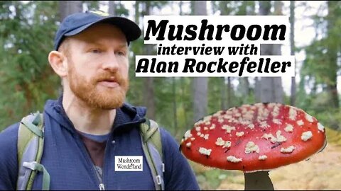 Mushroom Interview with Alan Rockefeller- All you didn't know about mushrooms!