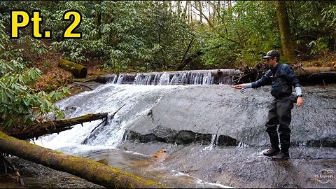 Fly fishing a Mountain Stream for GORGEOUS Trout! || North Georgia Trout Pt. 2