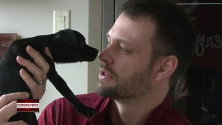 Local adoption center sees record breaking number of animals adopted amid coronavirus outbreak