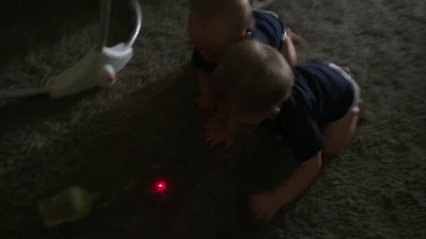 Twins mesmerized by laser dot, chase after it