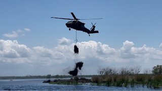 Recycled Christmas Trees In New Orleans Protect Wildlife And People