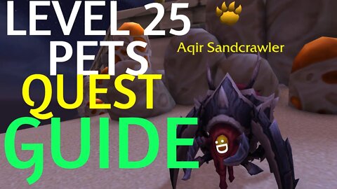 WoW BFA Quest Guide - BIG BAD BEETLE - (LEVEL 25 PETS with SHADOWBARB) EASY and SIMPLE! 8.3