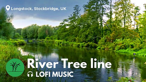 🌳River Tree line & Lofi Music Compilation. River "Test".