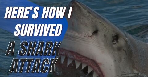 Here’s How I Survived a Shark Attack