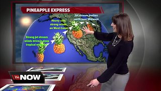 Geeking Out: Pineapple Express