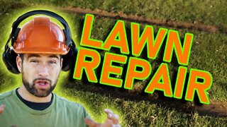 Carlisle McFuggit - How to repair a damaged lawn.