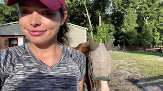 OUR HUGE FARM TOUR!! Life Owning A Horse FARM.