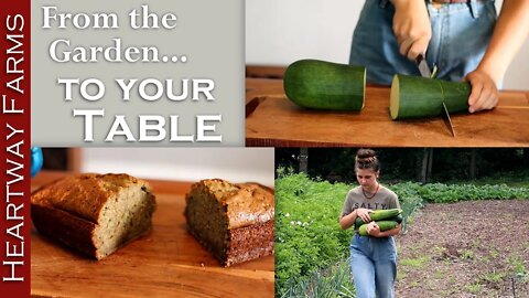 Garden Fresh Zucchini Bread | Easy Recipes | Survival Food | Home Cooking | Baking | Heartway Farms