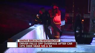 Driver falls from freeway after car hits deer