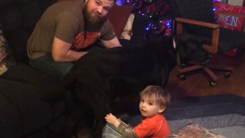 A Boy Pretends To Milk His Dog