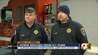 Firefighters rescue horse from icy pond