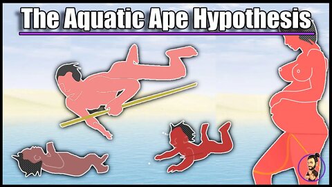 What is the Aquatic Ape Hypothesis and does it hold any water?