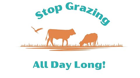 Stop Grazing All Day Long
