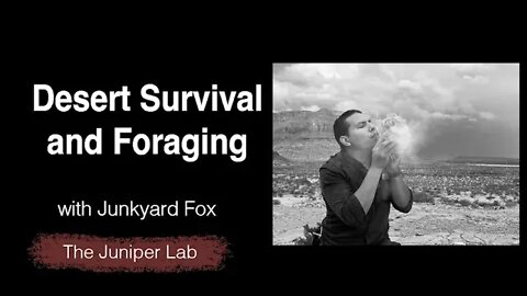 James Harris of Junkyard Fox - Foraging and Survival in the Desert - The Juniper Lab Podcast