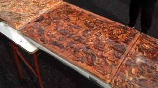 World's Longest Apple Tart