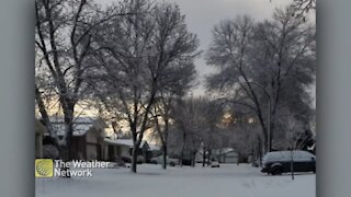 Walking down a snow-covered road