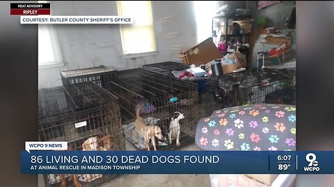 Nearly 90 living, 30 dead dogs found at Greater Cincinnati shelter