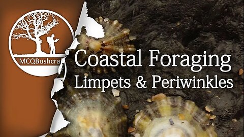 Bushcraft Coastal Foraging & Cooking Shellfish