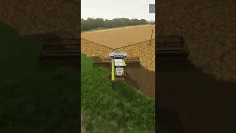 Harvesting Canola | Farming Simulator 22 #shorts