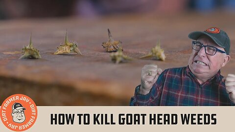 How to Kill Goat Head Weeds