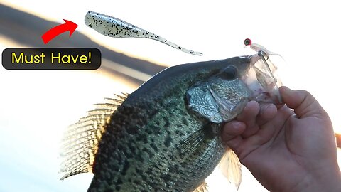 Best Lure Pattern for Crappie Fishing Pre-Spawn (Bull Shoals Lake ep. 2)