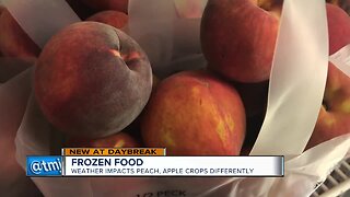 Frozen Food: Weather impacts peach, apple crops differently