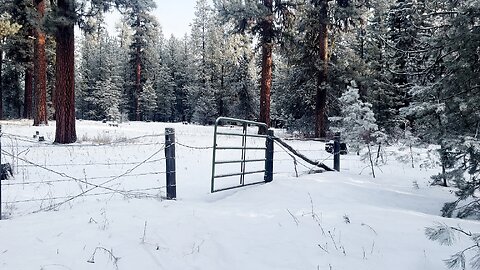 The Latching Gate @ Bandit Springs Sno-Park & Crossing a Creek! | 4K Winter Hiking Prineville Oregon