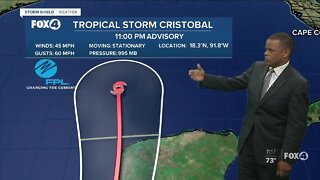 Tropical Storm Cristobal 11 PM Update 6/3/20
