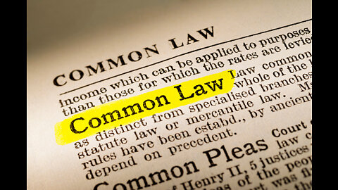 Common Law and The American Government