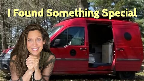 Van Life: Amazing Free Finds on a Foraging Expedition!