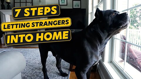 Dog WON'T ALLOW Strangers Into Home! Do It In 7 Steps!