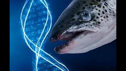 GMO Fish. . or Lab Created Fish ?