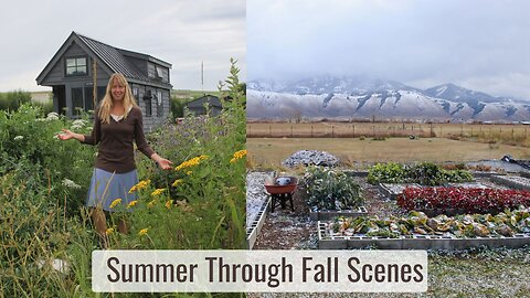 Summer Through Fall Sights, Scenes, and Sounds - Growing Ducks, Chicks, Flowers, Lots of Rain & More