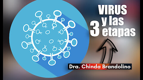 VIRUS y sus 3 etapas