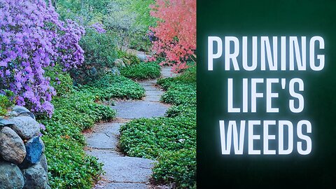Branches of Change: Pruning Life's Weeds: Cultivating Positivity