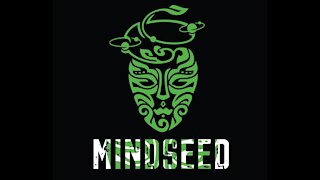 MINDSEED - Eggshells (Audio)