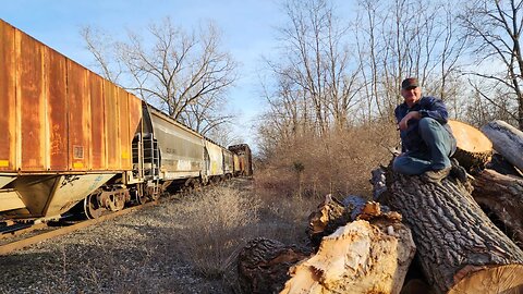 Ithaca Central In Myers Park New York Early March 2024