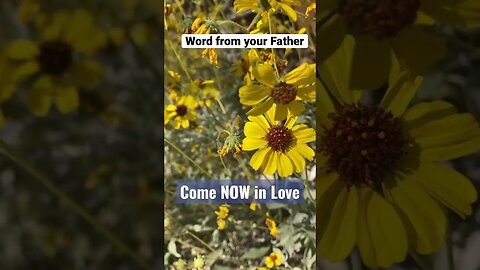 Come Now in Love - (rather than fear) - Word 5/4/23