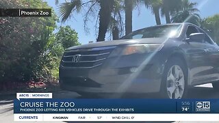 Cruise The Zoo: Visit the Phoenix Zoo from inside your car