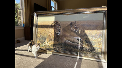 Great Dane & Cats Enjoy A Close Up Look At Lions & Bird Watching In The Art Studio