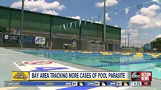 Pasco, Pinellas, Hillsborough tracking crypto in pools